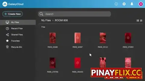 Room 808 Files