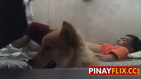 Tigil Putukan Muna Guys Nagugutom si Brownie